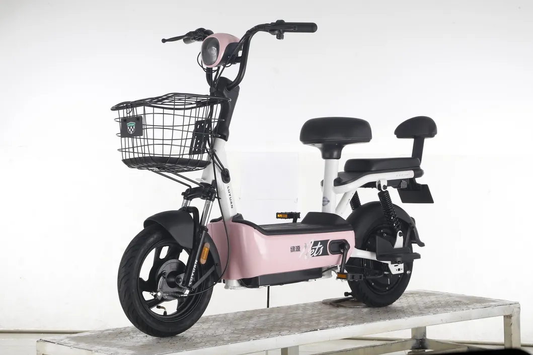 Big Battery Long Distance Bike Min Electric Bike FDD