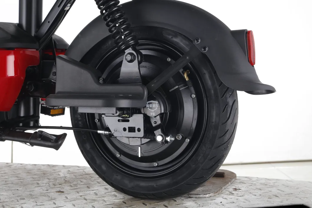 Big Battery Long Distance Bike Min Electric Bike FDD