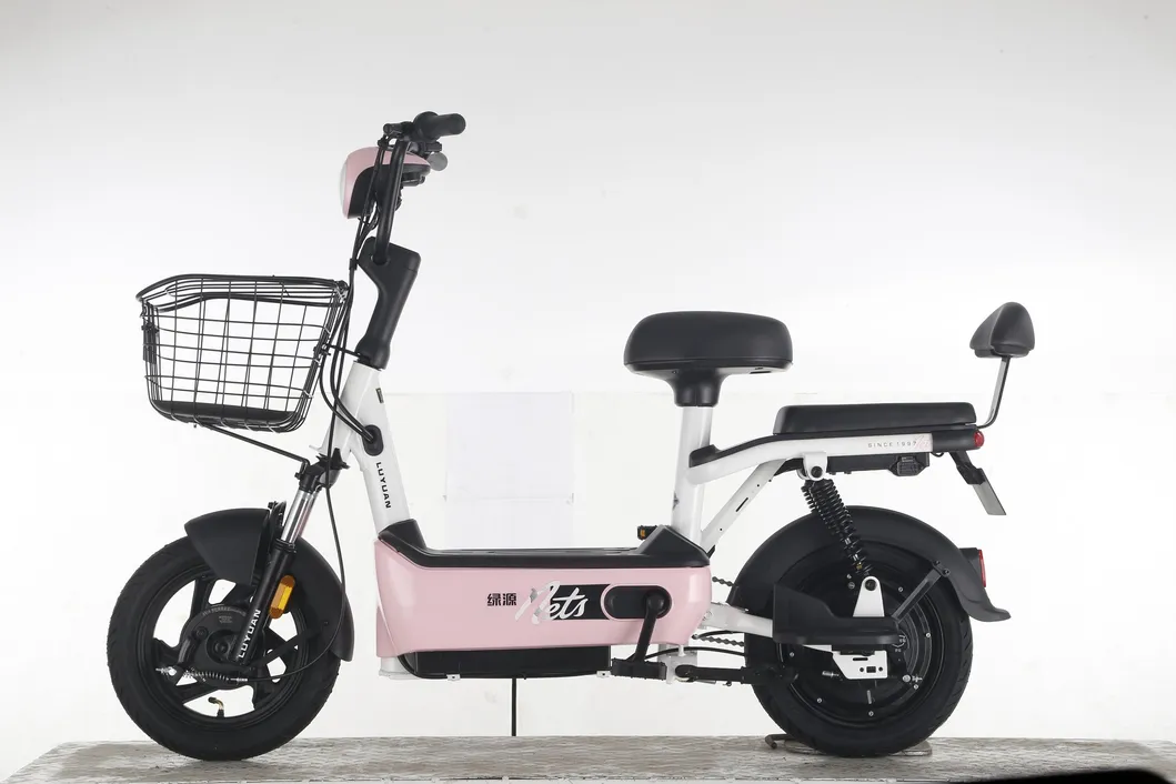 Big Battery Long Distance Bike Min Electric Bike FDD