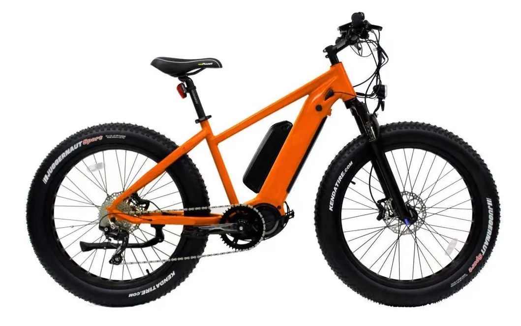Big Power High Performance Dual Battery 17.5ah 14ah Bafang MID Motor 750W 1000W Hight Step Man Fat Electric Bike