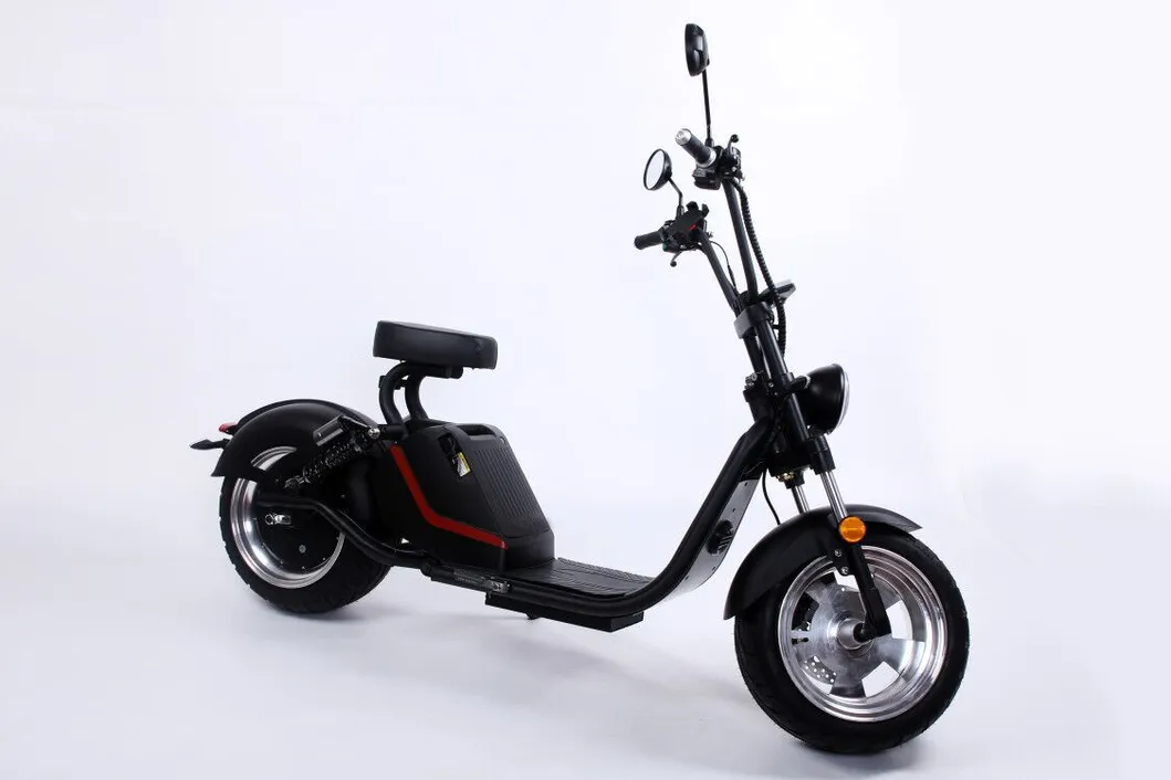 Big Wheel Fat Tire Electric Scooter Rear Gearless Motor Adult with Pedal Assist System
