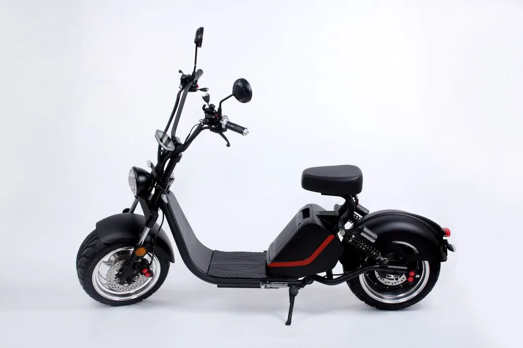 Big Wheel Fat Tire Electric Scooter Rear Gearless Motor Adult with Pedal Assist System