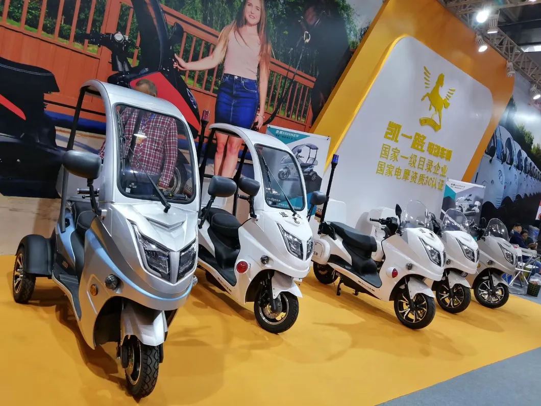Bike and Sctooer EEC Coc Electrical Citycoco Scoter Adults Scooters Dual Motor Adult off Road 1500W 60V 20ah EU Warehouse Electric Scooter City Coco 2000W
