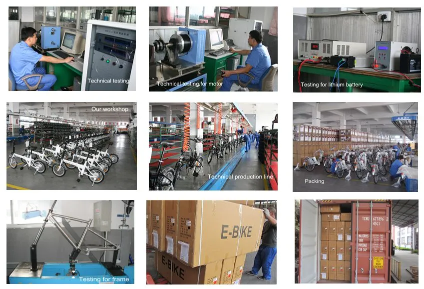 Brushless Built-in Bafang Motor 250W36V Electrci Bicycle with Shimano Alivio 8 Speed Gears