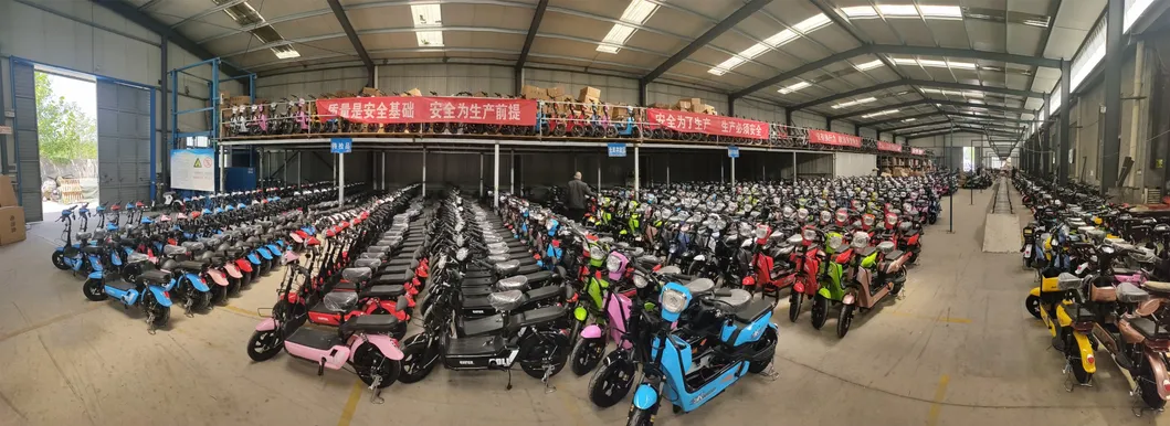 Brushless Motor Alloy Electric Bicycle Carton Brushless Offroad Electric Scooter Carton Electric Dirt Bike E-Bike