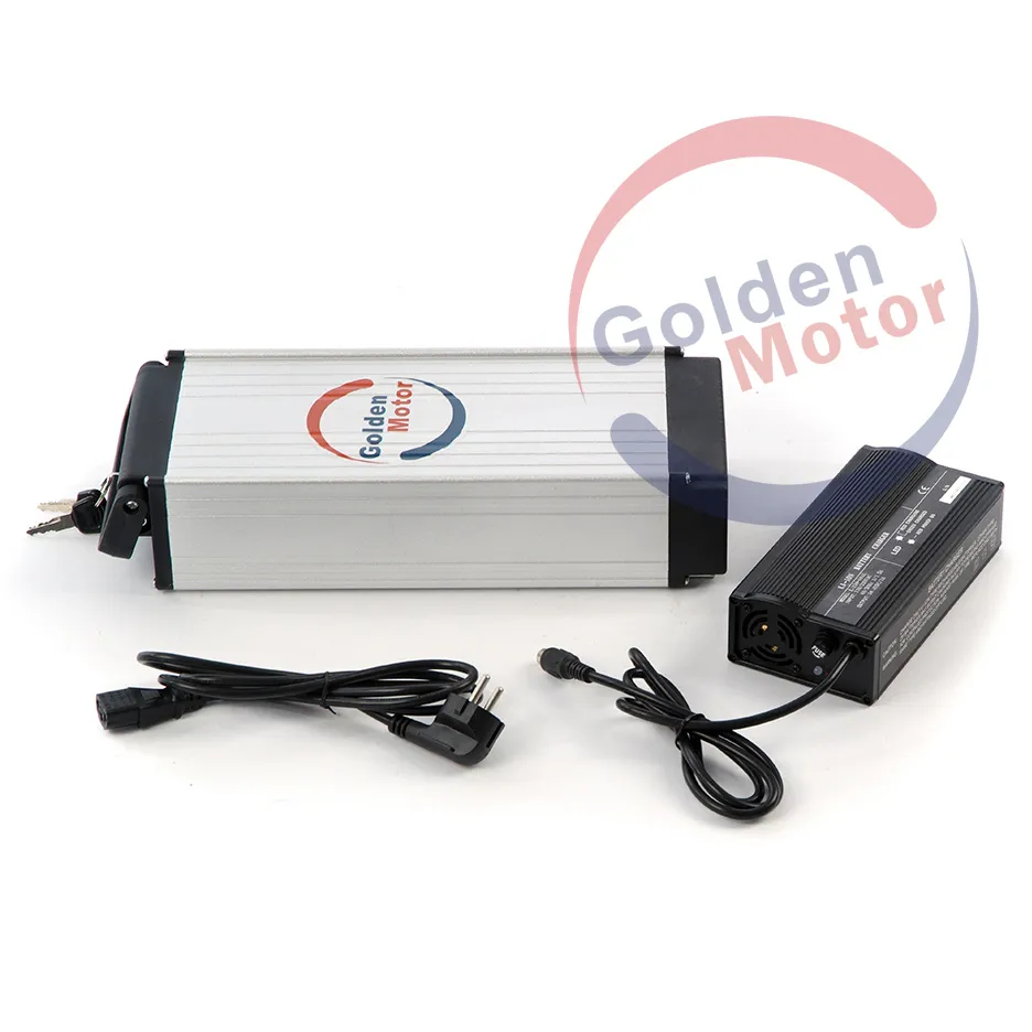 Brushless Motor Ebike Conquer Any Steep Hills /Fast/Coolest (SEB-350D)