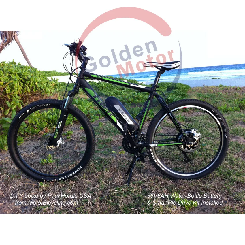 Brushless Motor Ebike Conquer Any Steep Hills /Fast/Coolest (SEB-350D)