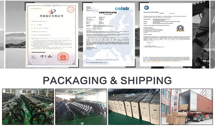 Ce 26" City Ebike Lady Electric Bicycle for EU Market