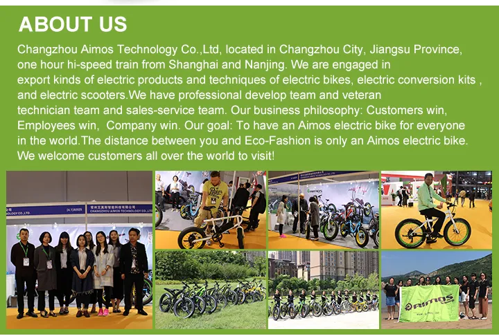 Ce 26" City Ebike Lady Electric Bicycle for EU Market