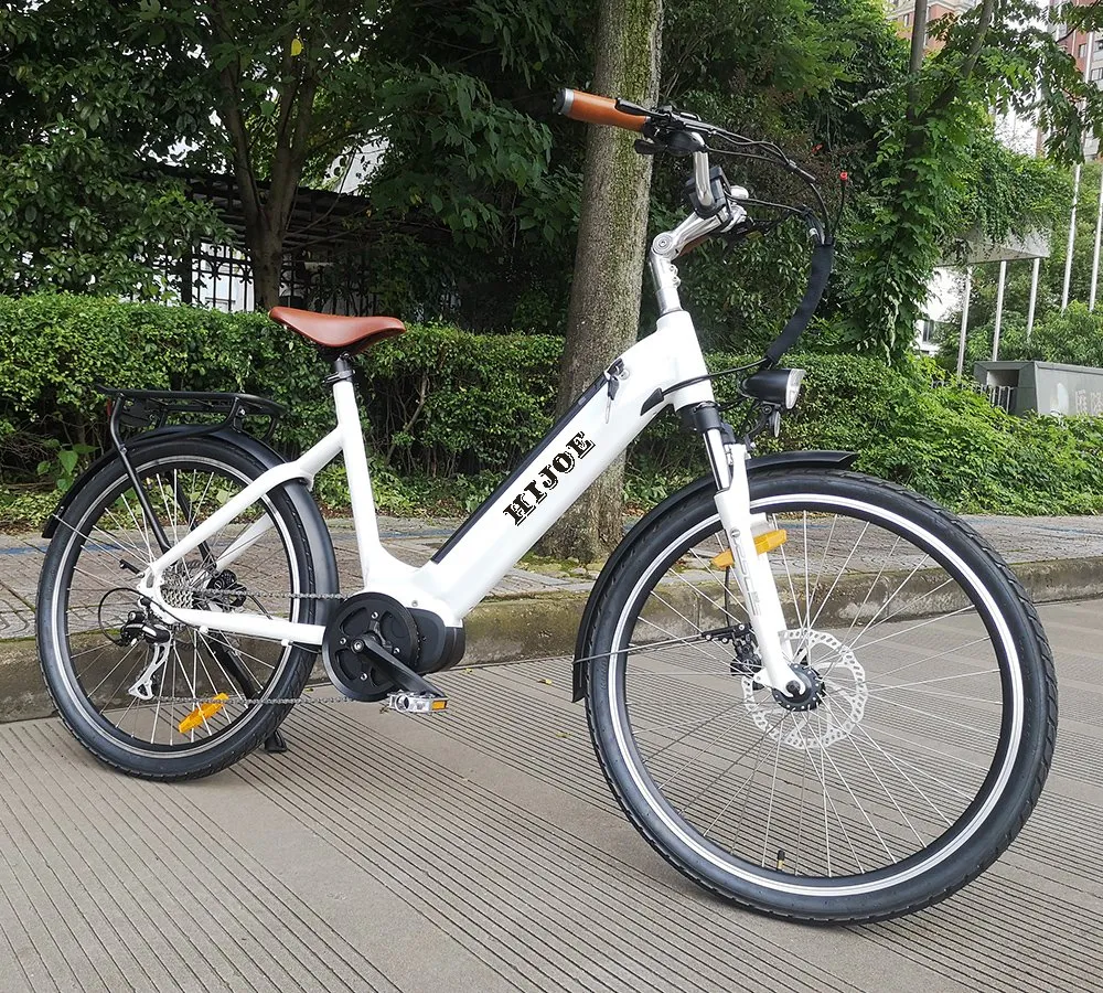 CE/En15194 Electric Bike for Woman New Design