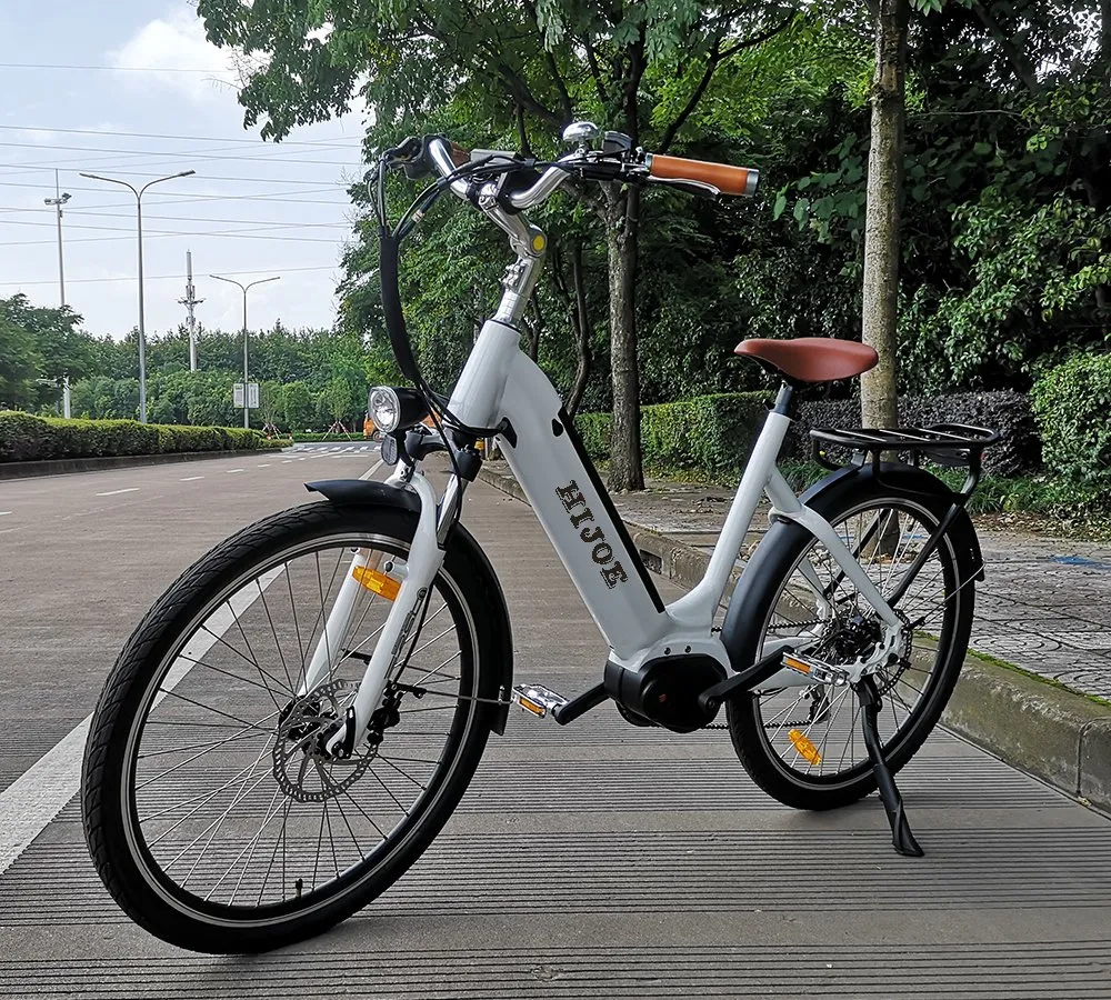 CE/En15194 Electric Bike for Woman New Design