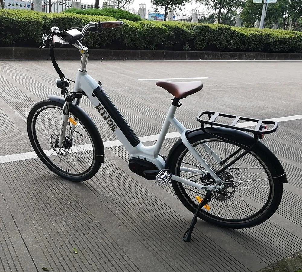 CE/En15194 Electric Bike for Woman New Design