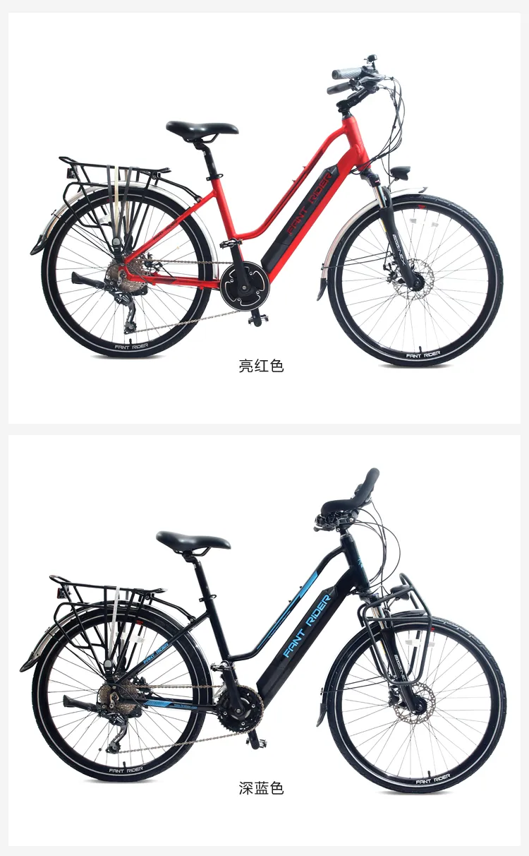 Cheap Price 36V 250W Motor Torque Mountain Electric Bike 26inch