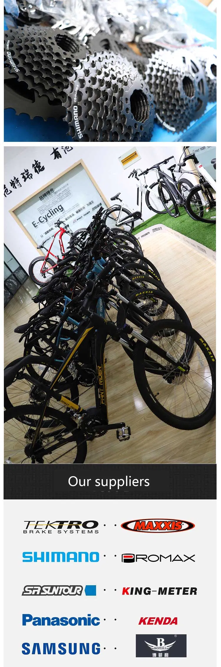 Cheap Price Motor Torque Mountain Electric Bike 36V 250W