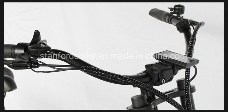 China Bike 2 Wheel Lithium Long Range Electric Bicycle Scooters