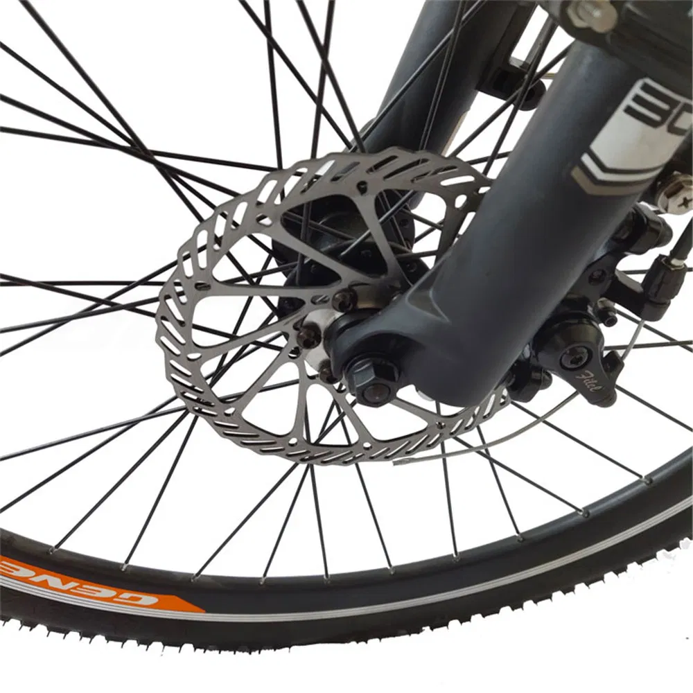 China CE Certificate Cheap City 28 City 48V Classic Custom Design Electric Bike