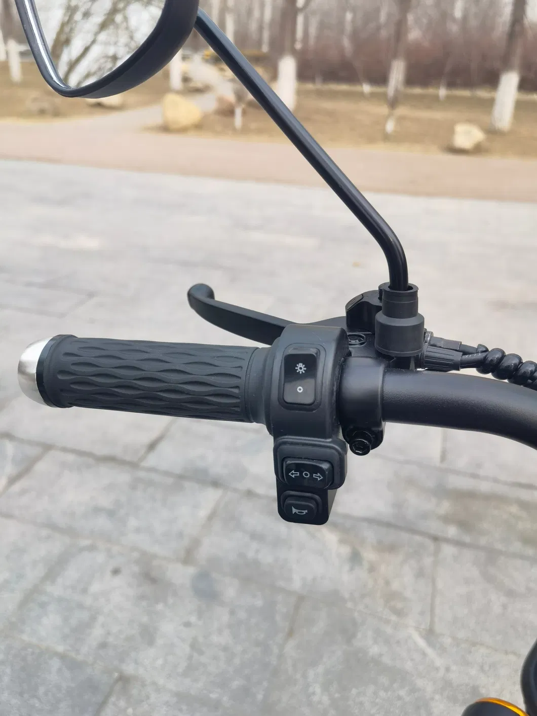 China Cheap Adult 3 Wheeler Electric Vehicle Tricycle for 2 People Electric Tricycle