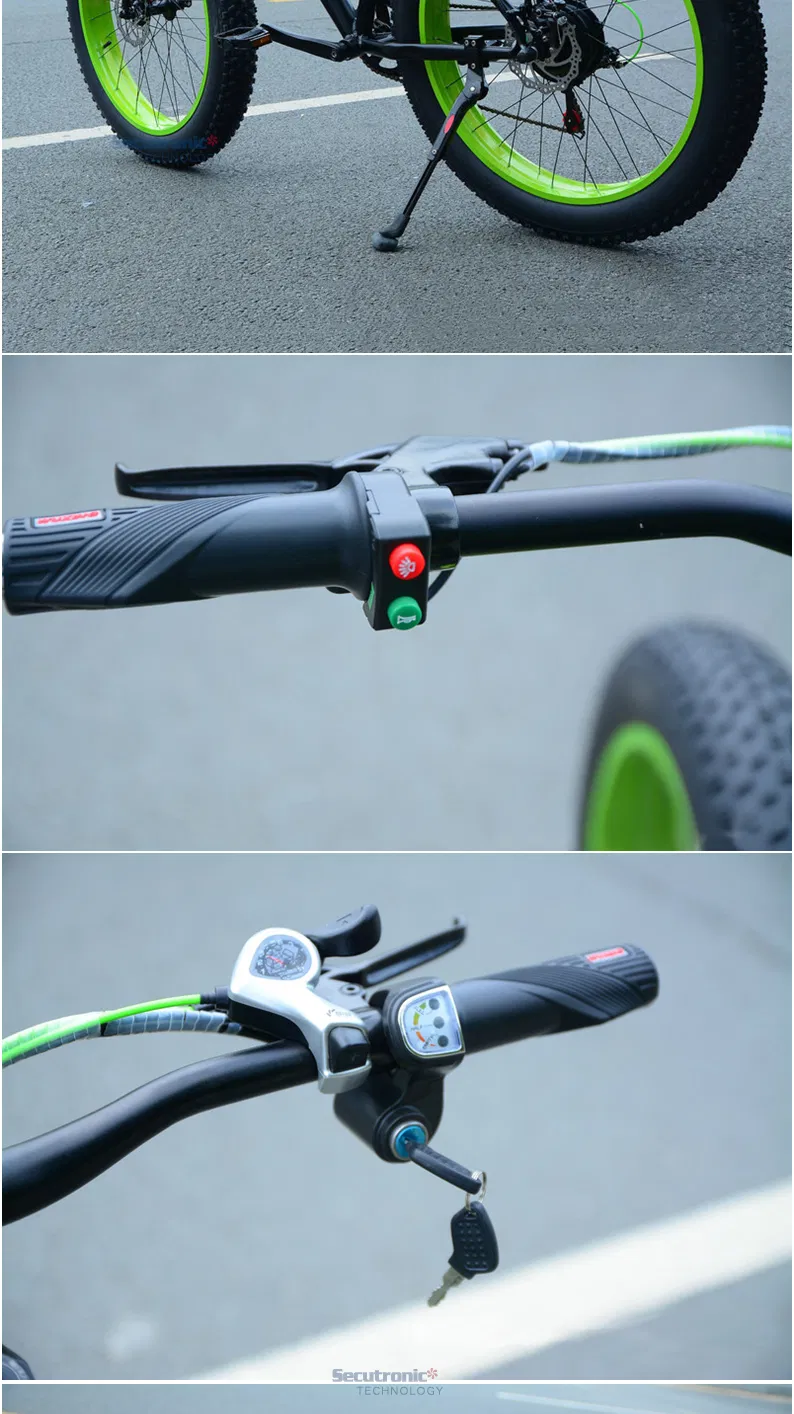 China Cheap Bike Electric Bicycle Fat Mountain Hub Motor Ebikes 500W 1000W Elektrikli Bisiklet Electric Byke Bicycle
