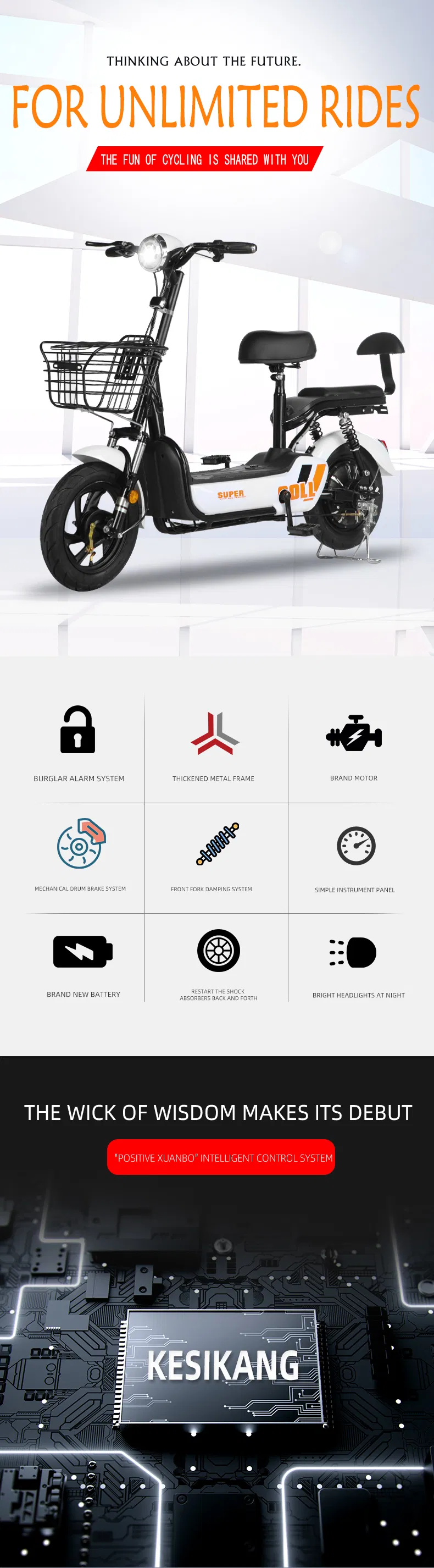 China Electric Bicycle Bike Kit 30km/H Electric Handicapped Scooter China China Electric Bike