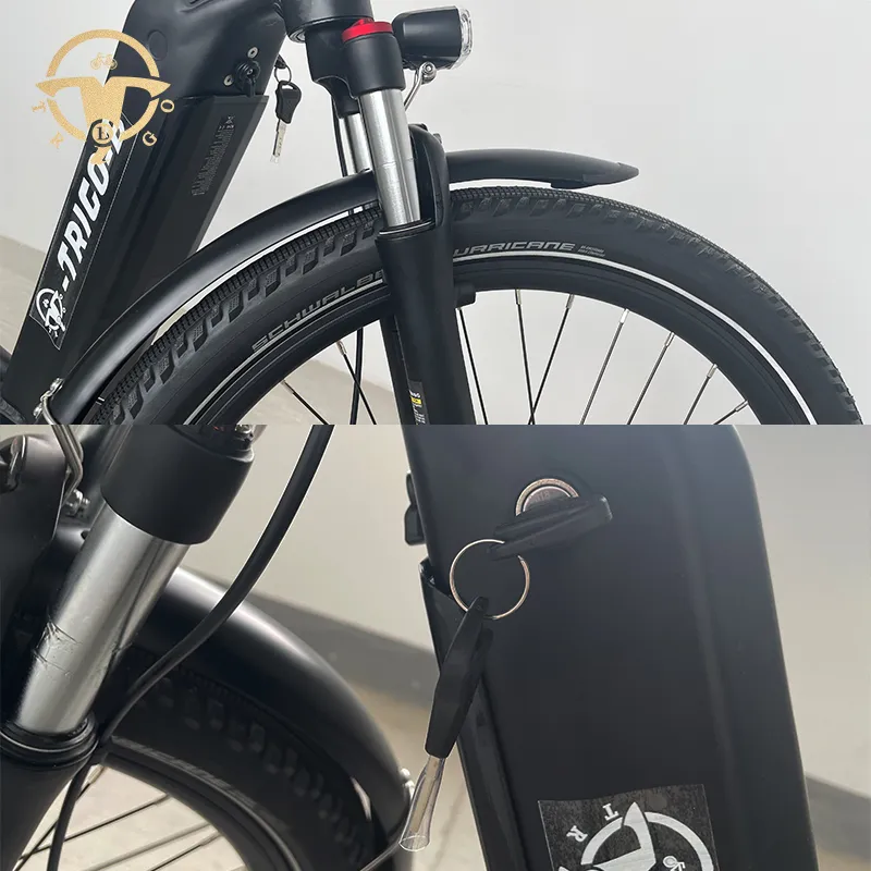 China Factory 27.5 Inch Fat Tire Brushless Motor Electric Bike for All People