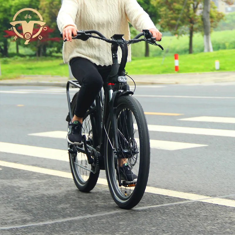 China Factory 27.5 Inch Fat Tire Brushless Motor Electric Bike for All People