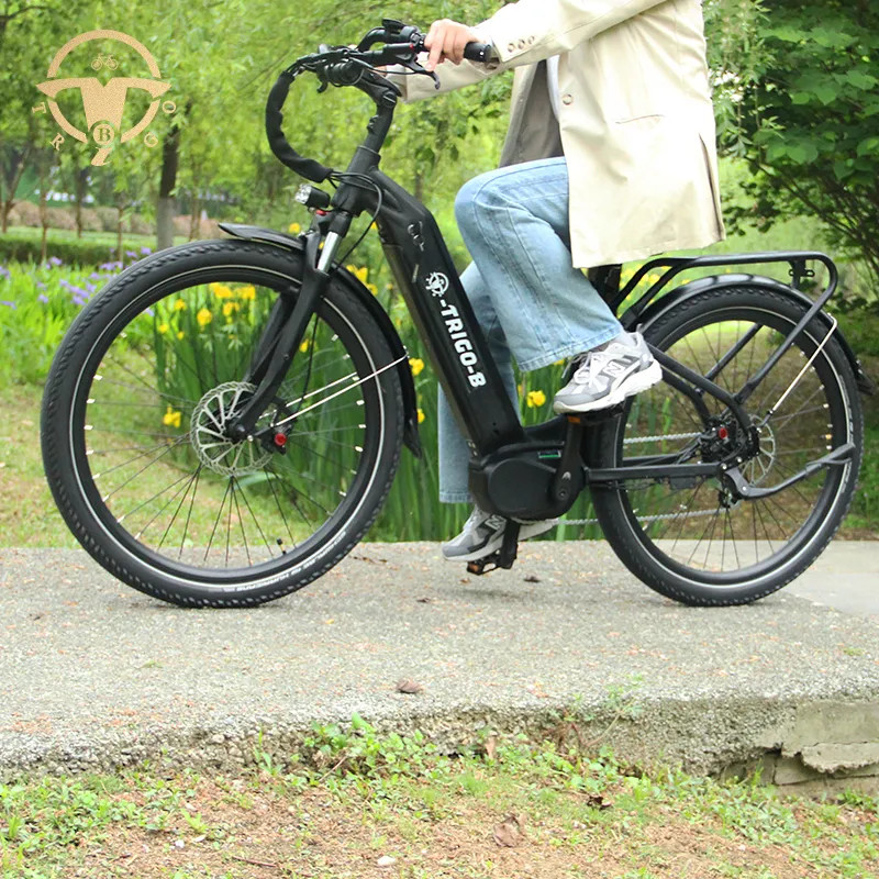 China Factory 27.5 Inch Fat Tire Brushless Motor Electric Bike for All People