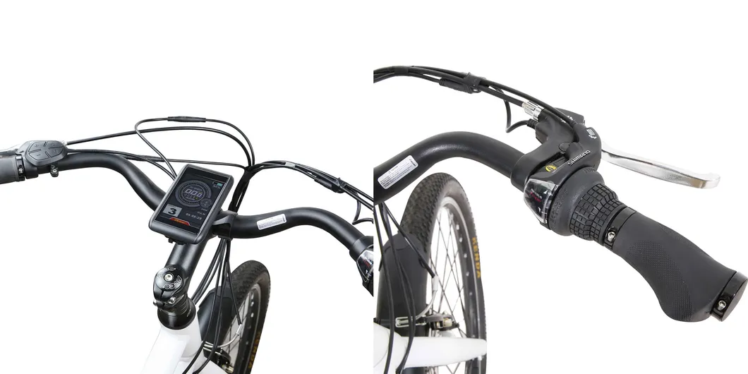 China Factory Longtail Cargo Electric Bike with Shimano Gear