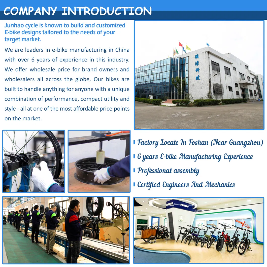 China Factory Longtail Cargo Electric Bike with Shimano Gear