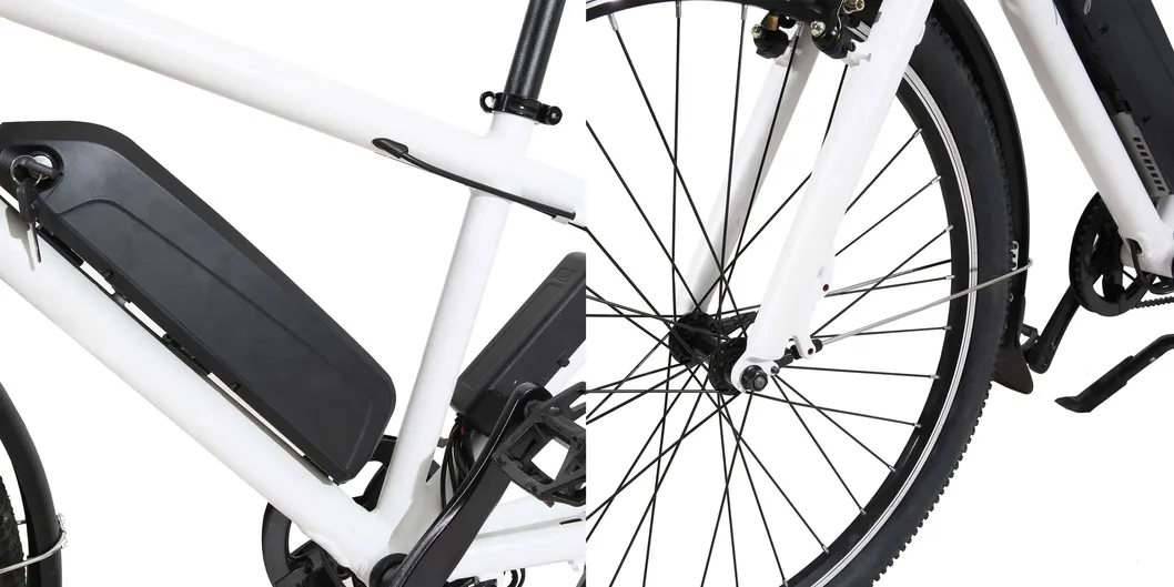 China Factory Longtail Cargo Electric Bike with Shimano Gear