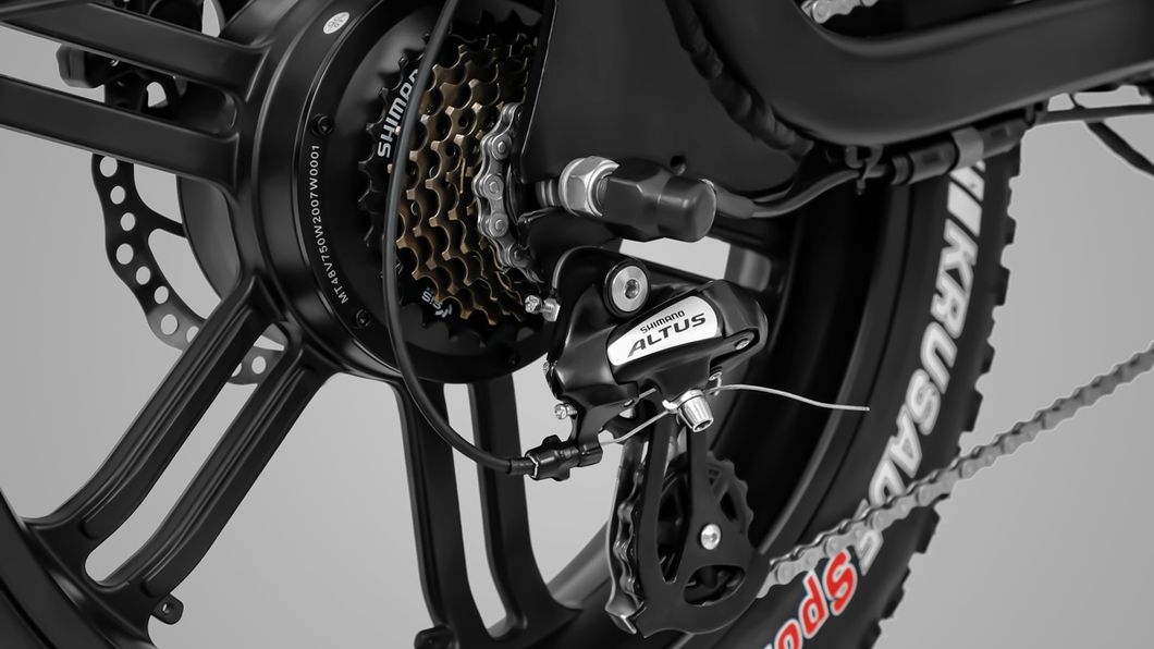 China Superior Manufacturer Wholesale 750W 48V14ah/17.5ah Electric Bike