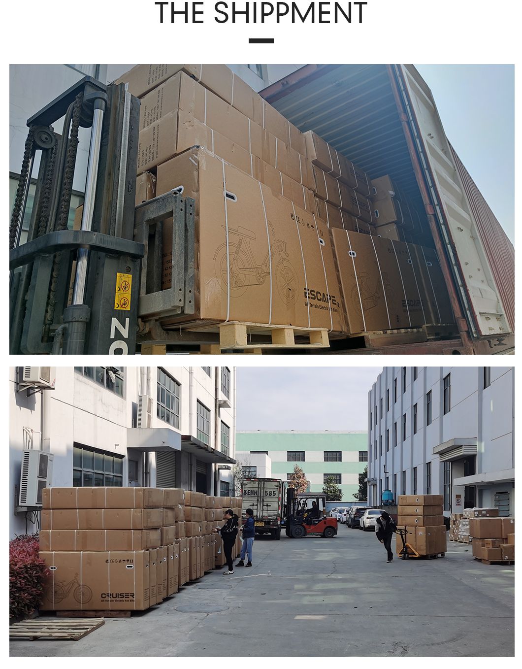 China Superior Manufacturer Wholesale 750W 48V14ah/17.5ah Electric Bike