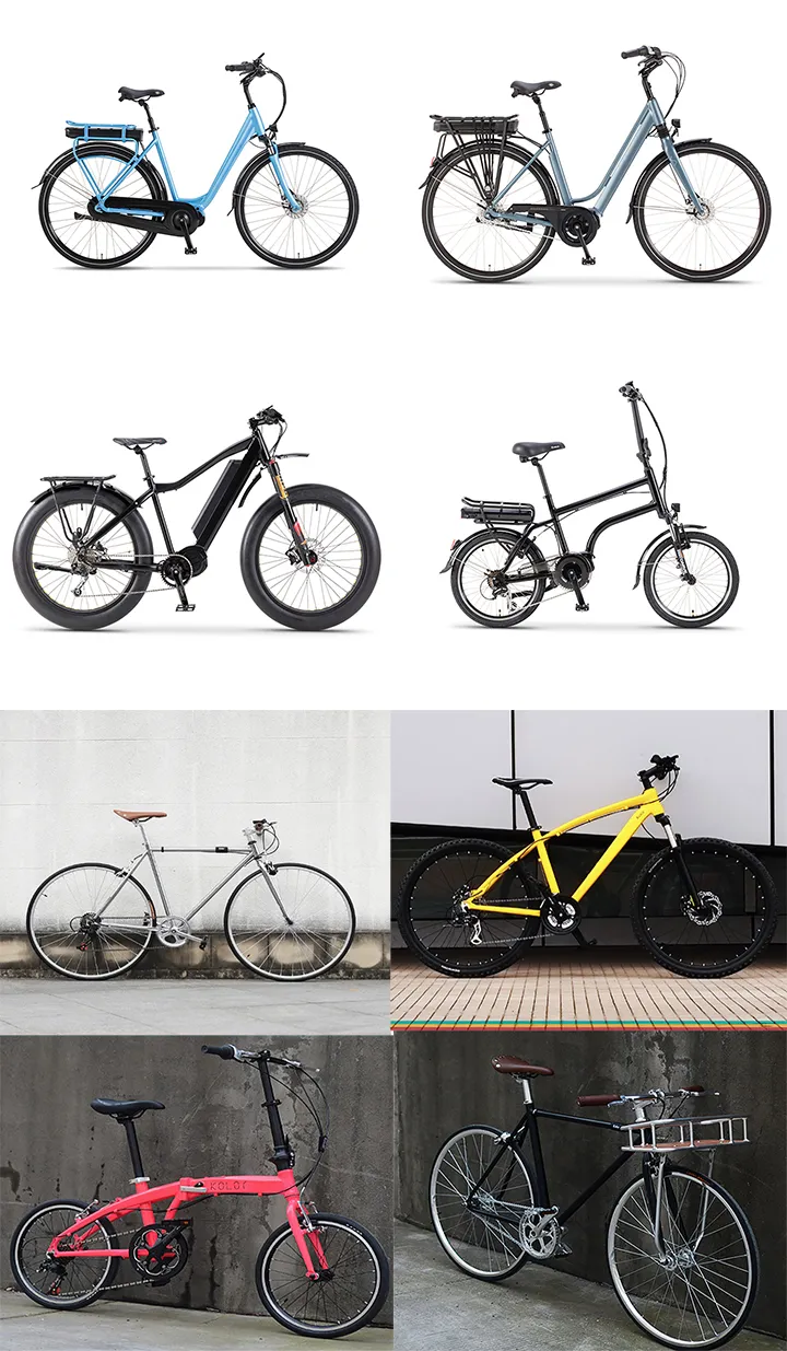 Chinese New Year Promotion! ! ! Enduro E Bike High Quality Electric Bicycle Electric Bike