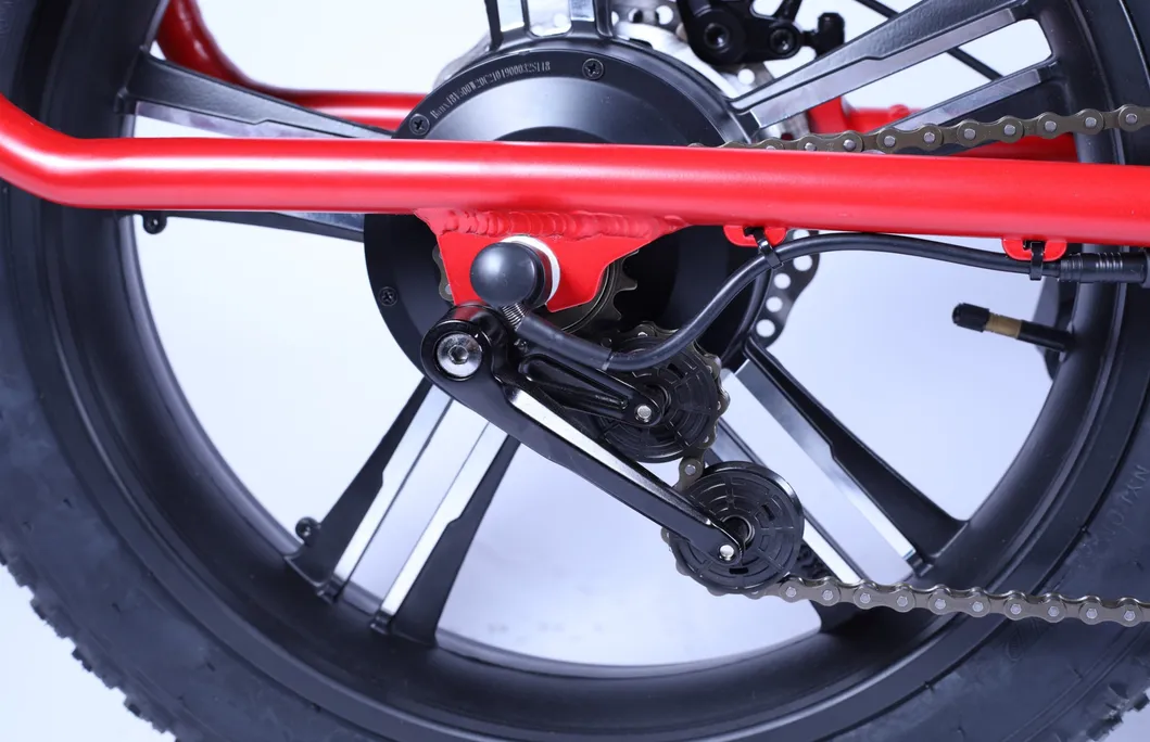 City Bicycle 20inch Fat Tire Electric Bike