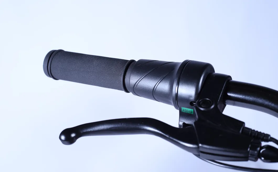 City Bicycle 20inch Fat Tire Electric Bike