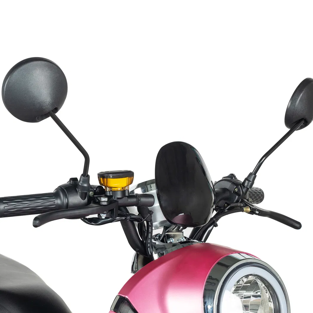 Cobra Trike Electrique a Grandes Roues Chopper Sc14 Ws PRO Light Seev Motor EEC Coc Classic Hot Selling 2 Wheel Electric Scooter 1000W 2000W Citycoco 5000 W