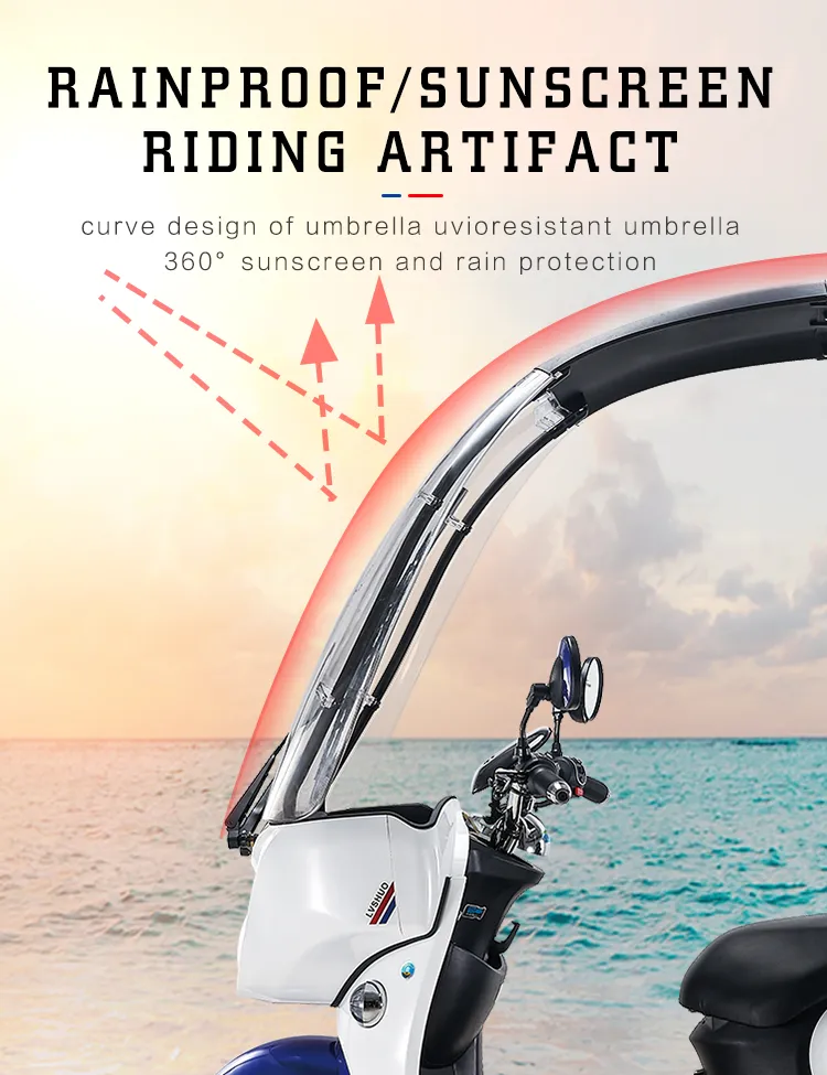 Container for Girls Retro Adulte Passenger Cargo Pedal Trike Tricyclee EU Warehouse Tricycle Pick up Electric Tricycles 2 Personas