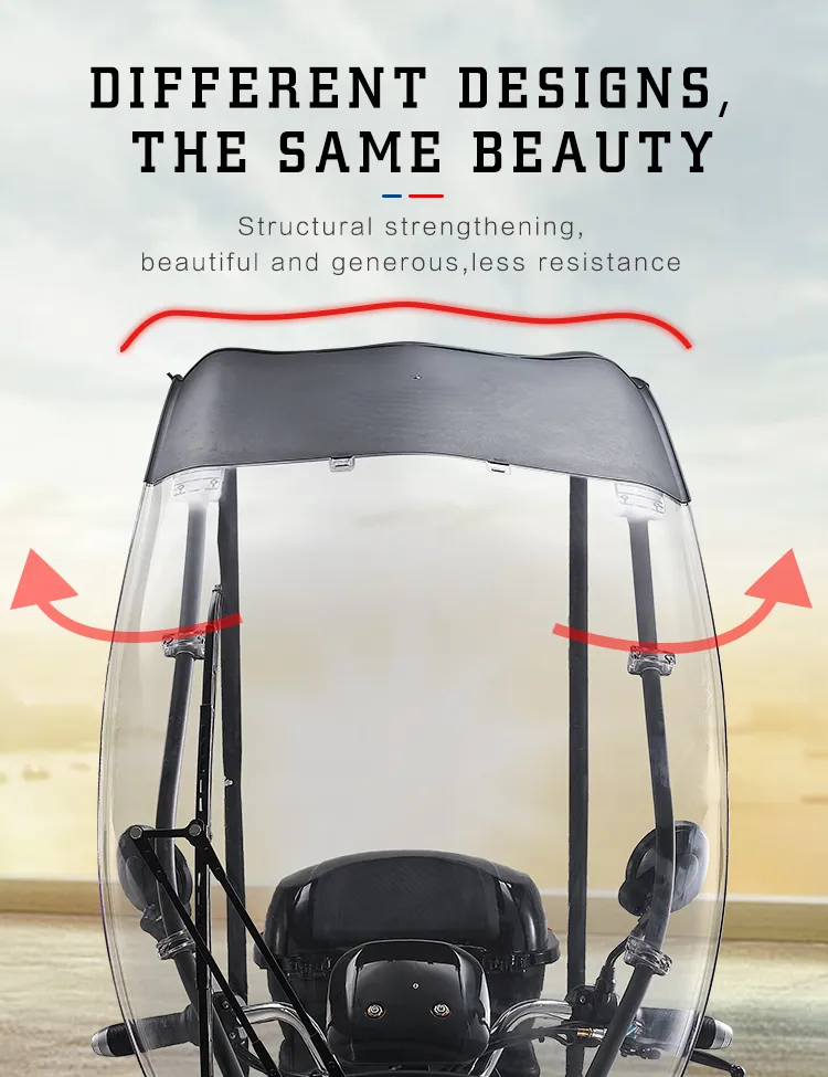 Container for Girls Retro Adulte Passenger Cargo Pedal Trike Tricyclee EU Warehouse Tricycle Pick up Electric Tricycles 2 Personas