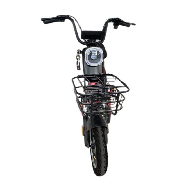 Direct Selling Best Price Moped Simple Design Electric Moped Bicycle