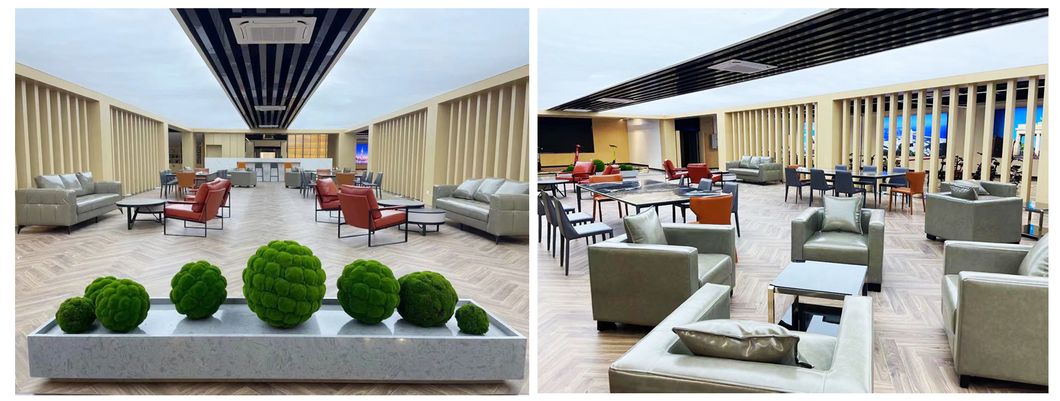 Direct Selling Best Price Moped Simple Design Electric Moped Bicycle