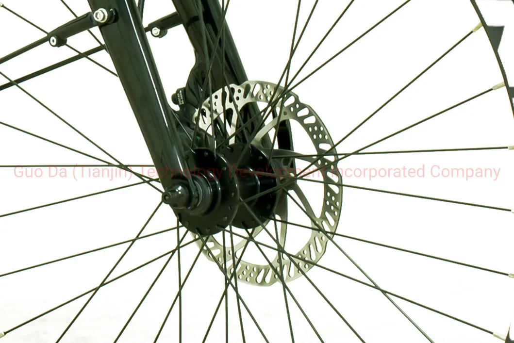 Disc Brake Electric Mountain Bicycle with 36V/250W