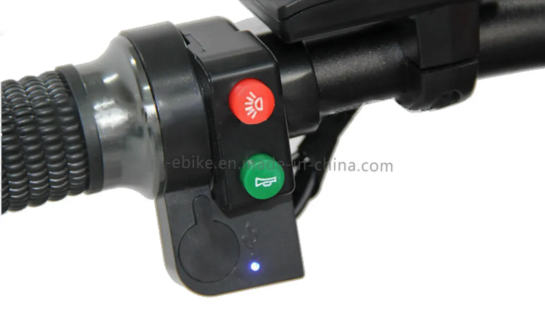 Dropshipping Cycle Fat Mountain Bikes Folding Ebike 350W Electric Bike Battery 48V