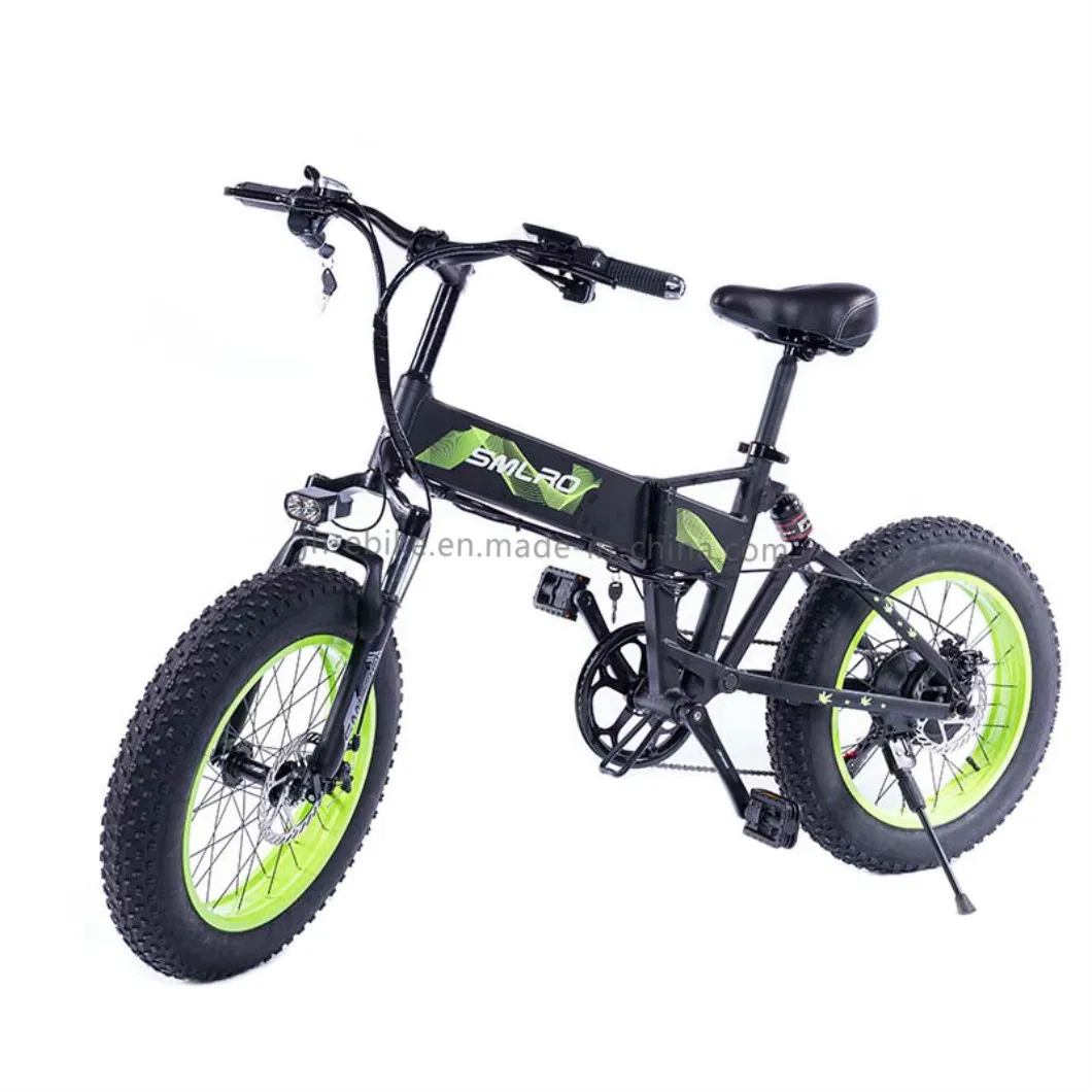 Dropshipping Foldable Bicycle Electric Bike Foldable 750W 48V Fat Tire Snow Bike