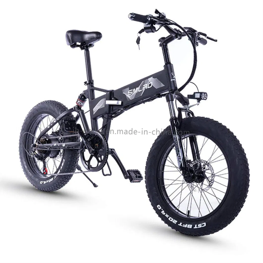 Dropshipping Foldable Bicycle Electric Bike Foldable 750W 48V Fat Tire Snow Bike