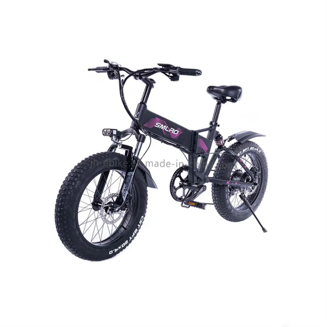 Dropshipping Foldable Bicycle Electric Bike Foldable 750W 48V Fat Tire Snow Bike
