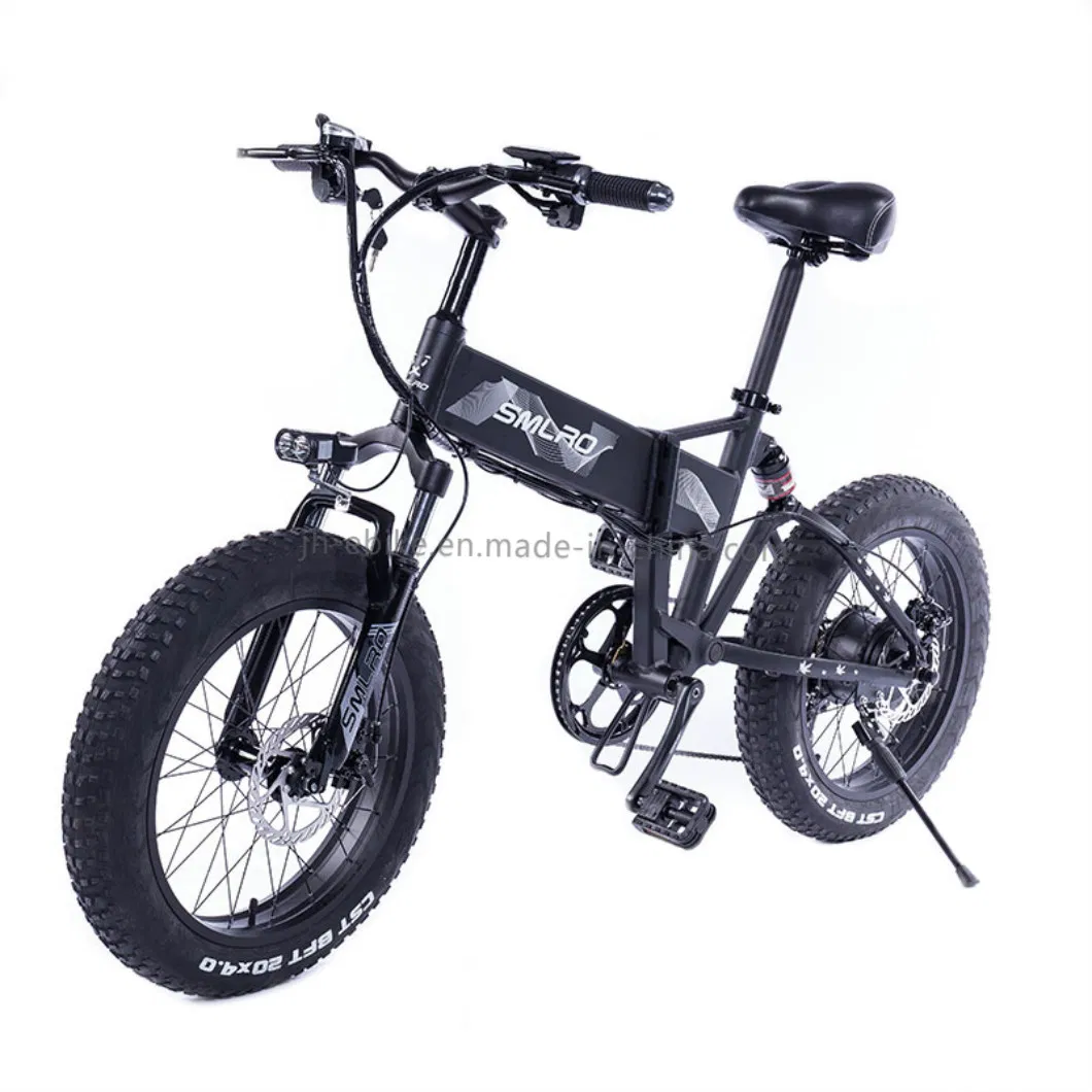 Dropshipping Foldable Bicycle Electric Bike Foldable 750W 48V Fat Tire Snow Bike