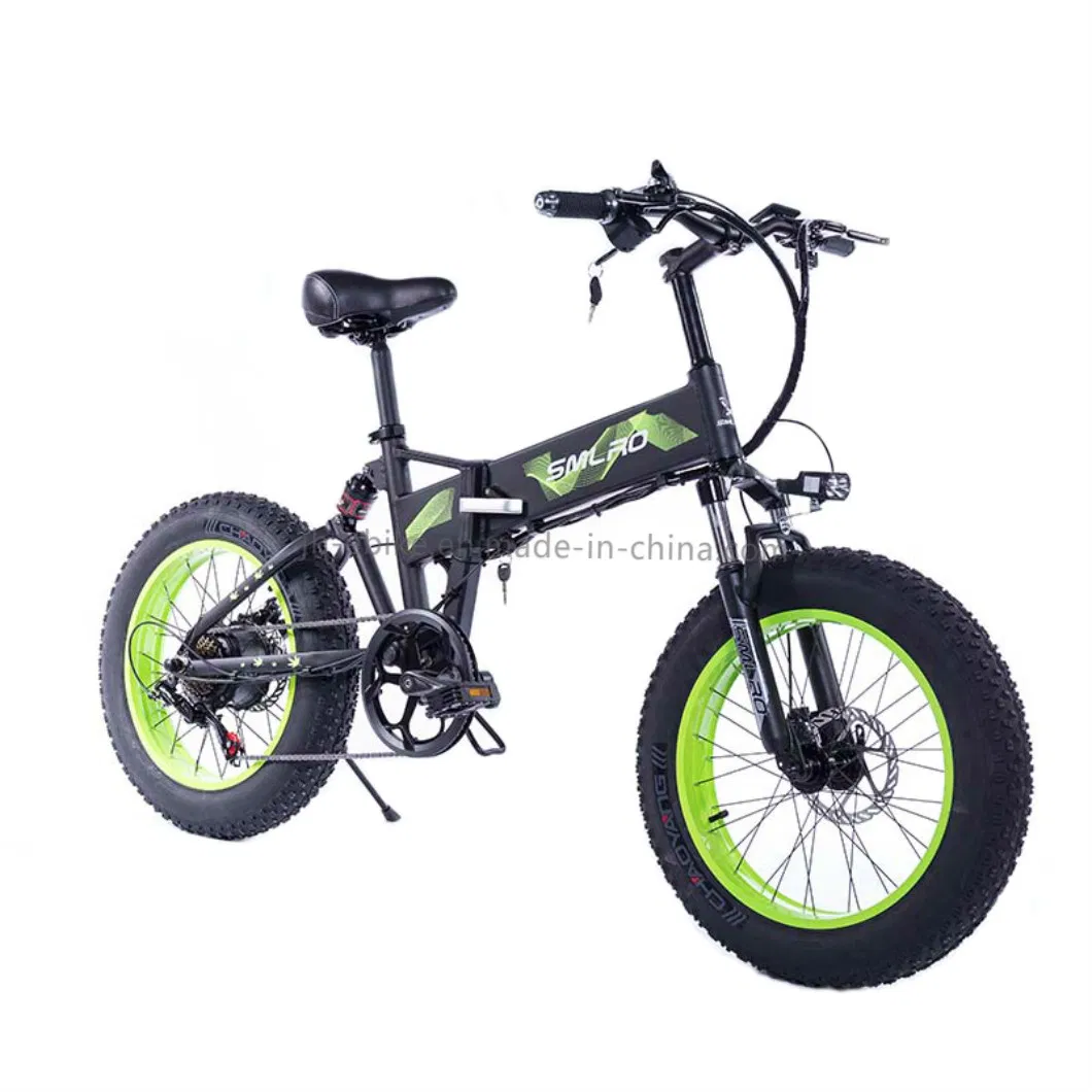 Dropshipping Foldable Bicycle Electric Bike Foldable 750W 48V Fat Tire Snow Bike