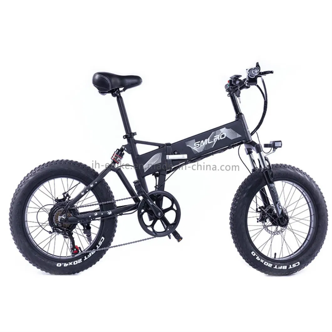 Dropshipping Foldable Bicycle Electric Bike Foldable 750W 48V Fat Tire Snow Bike