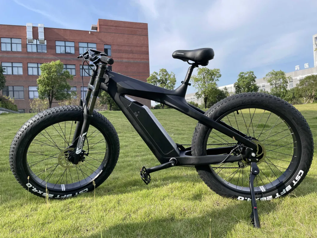 Ebike Fat Tire Cst 26*4.0 Carbon Electric Bike Electric Road Bike Bicycleold E Dirt Bike for Adults 45km/H Fast Speed