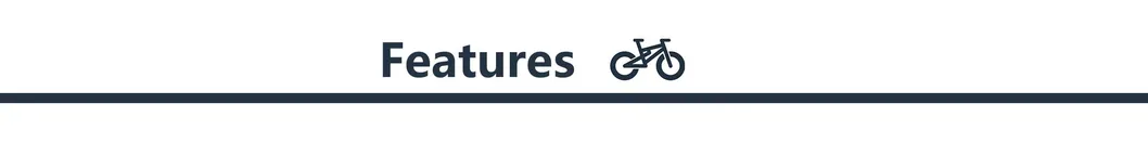 Ebike Fat Tire Cst 26*4.0 Carbon Electric Bike Electric Road Bike Bicycleold E Dirt Bike for Adults 45km/H Fast Speed