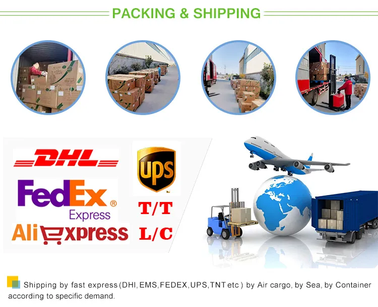 Ebike Hub Motor Electric Bike Kit Brushless Hub Motor Greenpedel 48V 450W Ebike Brushless Hub Motor Electric Bike Conversion Kit